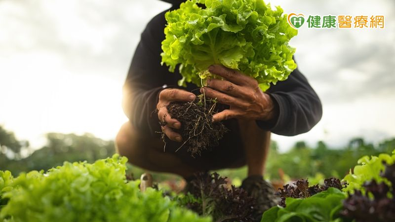 婦人偏愛生食蔬菜，研判是這些因素讓蛔蟲卵有機可乘進入體內。