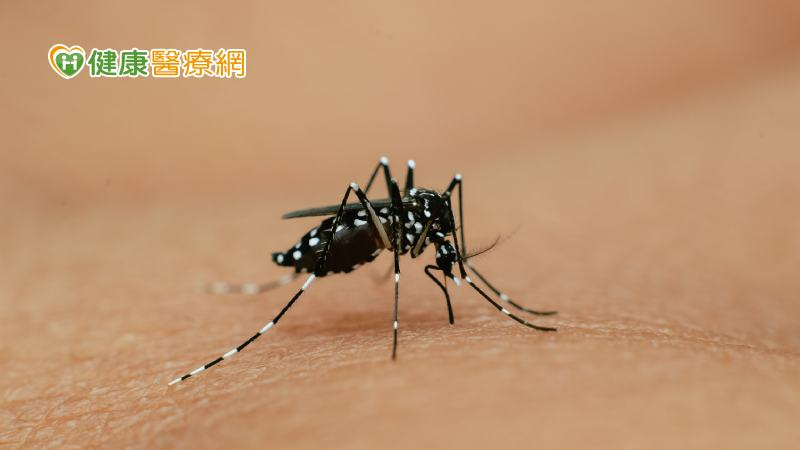 印尼衛生部發布警報提醒民眾要特別留意該國屈公病疫情狀況，而今年我國累計的11例境外移入屈公病病例中就有9例感染國家為印尼。