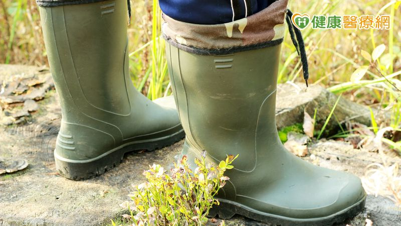 端午有驅五毒的傳統習俗，其中毒蛇即為五毒之一。