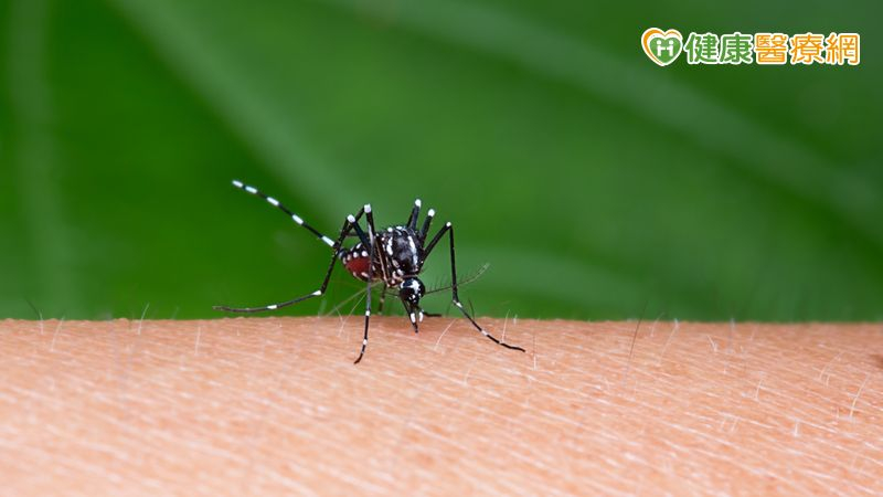 日本腦炎由病媒蚊傳播，主要為三斑家蚊、環紋家蚊與白頭家蚊，常孳生於水稻田、溝渠、池塘等地。