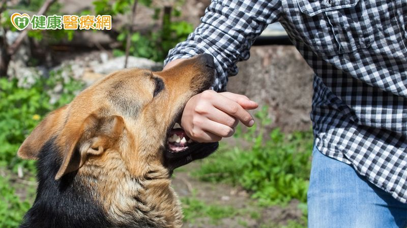 如果不慎被野狗或家犬咬傷怎麼辦？楊佳叡醫師提供正確處理3步驟。