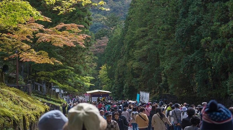 日本森林浴：沉浸大自然的減壓練習。圖片取自:(示意圖123rf)