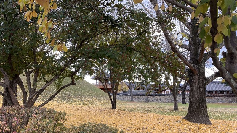時序入秋，樂生醫院營養師提醒飲食可添加滋潤型食材。
