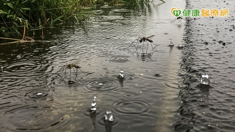 雨後清理家園防傳染病 疾管署籲:防疫三保「裝備、飲食、清潔」 d552a3037b6062e484c49c546eb6b609 l