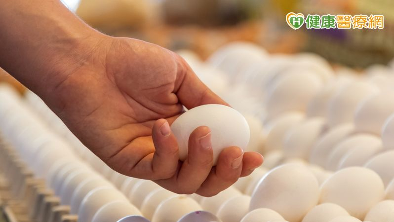 e6577c450b7bddeff601a7b34f617301 l