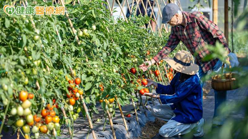 爸媽退休後社交退縮、懶得出門？　心理師籲「別當拯救者」：記好3招