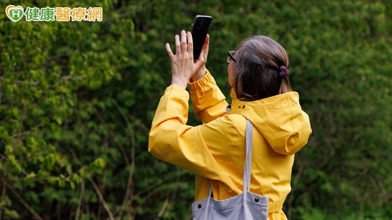 玩皮克敏「日行萬步」很健康？醫：小心運動傷害　7千步就夠