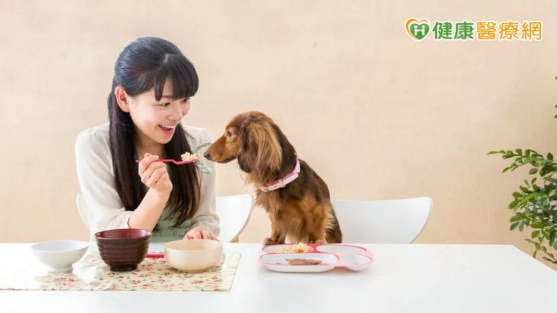 減肥「把自己當狗狗養」爆紅！營養師3點解析為何可行　揭人寵飲食差異