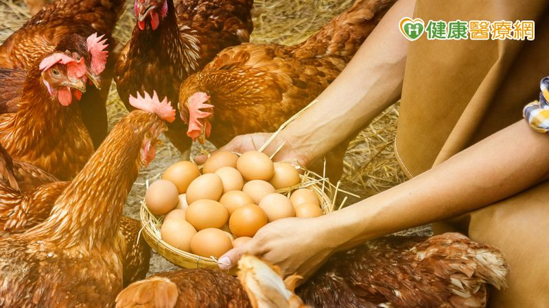 若出現急性呼吸道感染或結膜炎等症狀，就醫時務必主動告知職業別與動物接觸史，以便醫療體系在第一時間進行精準診斷。