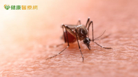 境外移入瘧疾增1例！20多歲男發燒嘔吐復發　赴這些國家要小心