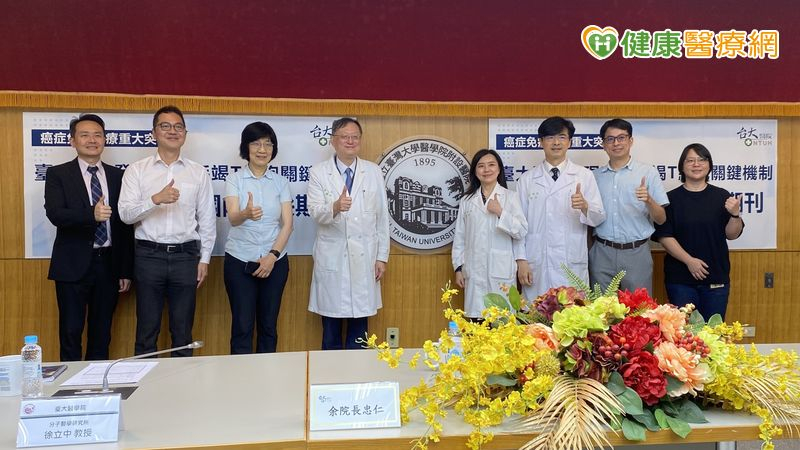 免疫治療效果不如預期？醫：與「T細胞耗竭」有關　臺大研究揭1關鍵機制