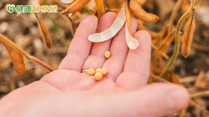 非基改一定比較健康？營養師解析基改食品安全性與常見迷思