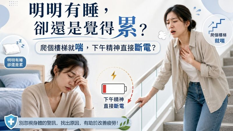 不是只有累！身體高耗能部位「續航力變差」　恐是能量代謝拉警報