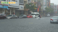 豪雨淹水後發燒別當感冒！醫點名「2疾病」嚴重恐腎衰竭、敗血症