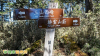 在台爬山沒事出國仍可能中招！醫揭高山症3類型　這些族群行前要注意