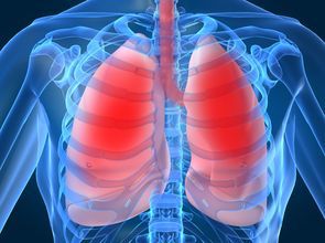 肺癌治療新契機　維持療法納入健保
