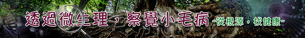 美兆國際健康管理機構
